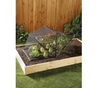 Gainsborough Folding Crop Cage With Steel Wire Frame & Fine Mesh 94 X 54.5 X 47Cm Protects Plants & Veg From Pests