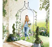 Gainsborough Metal Garden Arch for Climbing Plants in Black Gainsborough Black