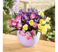 Coopers of Stortford - Set of Three Crocus Picks for Garden Pots Tubs and Window Boxes - Realistic Yellow Pink and Purple Flowers Made from Weather Resistant Polyester
