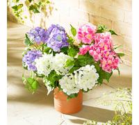 Gainsborough Set Of 3 Artificial Hydrangea Garden Picks In Pink, Cream And Purple, Uv Protected Polyester, H39Cm