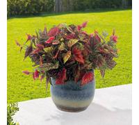 Set of 3 Realistic Artificial Coleus Leaf Picks