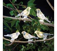 Gainsborough Set Of 5 Solar White Dove Lights Clip On Garden Decoration