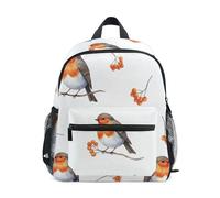 GAIREG Robins Orange Berries Toddler Boy Backpack with Name Tag, Little Kid's Backpacks Travel Book Bag, Robins Orange Berries, 3-5 Years, Cute Backpacks