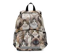 GAIREG Toddler Backpack for Girls Boys, Cats Kittens Little Kid's Backpacks Small Preschool Backpacks 3-6 Years, Medium