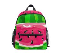 GAIREG Watermelon Skin Pink Flesh Toddler Boy Backpack with Name Tag, Kindergarten Backpack for Boys 6-8 Years