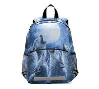 GAIREG Wolf Moon Blue Toddler Boy Backpack with Leash, Small Little Kid's Backpacks Travel Backpack 3-6 Years, Medium