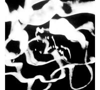 Gajek - Plaid & Alva Noto Remixes [VINYL]