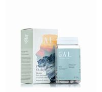GAL Shilajit, (Mumio) Natural Mineral Complex