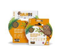 Galago 25mm Double Sided Tape - The Easy Tear Clear Art & Craft Tape by Walther Strong (10m Roll)
