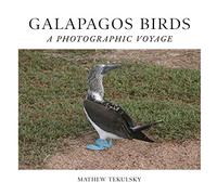 Galapagos Birds: A Photographic Voyage