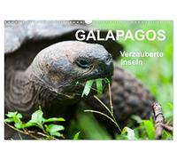 Galapagos. Enchanted islands UK-Version (Wall Calendar 2026 DIN A3 Landscape), CALVENDO 12 Month Wall Calendar