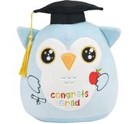 GalaVee Graduation Gift, Plush Owl, Cute Plush Owl with Doctor Hat and Apple, Graduation Gifts for Graduates, Soft Graduation Gifts for Graduation Study