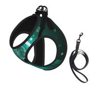 Galaxy Animal Dragonfly print Dog Harness, 2X Buckle,Dog Vest,No Pulling Front Leash Clip,for Small Medium Dogs