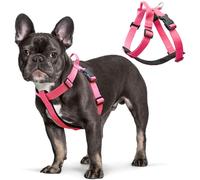 Galaxy Reflective Dog Harness,Adjustable 4-Point Fit,Anti-Pinch Buckles,Back-Clip Control & Emergency Handle,Velvet Lined for Small, Medium and Large Dogs, (Pink, S)
