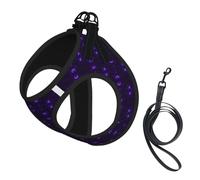 Galaxy Starry Space Purple Starry Print Step in Dog Harness and Leash Set,Adjustable Reflective Harness for Small Dogs Cats