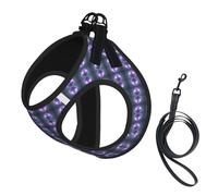 Galaxy Starry Space Purple Starry Print Step in Dog Harness and Leash Set,Adjustable Reflective Harness for Small Dogs Cats