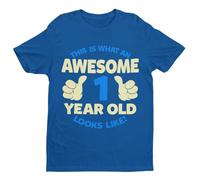 Galaxy Tees Boys 1st Birthday T Shirt This is What an Awesome 1 Year Old Looks Like Gift Royal Blue / 1-2 Years