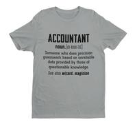 Galaxy Tees Mens Funny T Shirt Accountant Dictionary Definition Short Sleeved Silver Melange 3XL