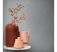 Galerie Air Collection Grey Arid Concrete Textured Wallpaper Roll