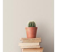 Galerie Bazaar Greige Hop Sack Smooth Wallpaper