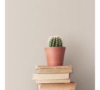 Galerie Bazaar Neutral Taupe Hop Sack Smooth Wallpaper
