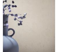 Galerie Earth Collection Cream Textured Arid Concrete Wallpaper Roll