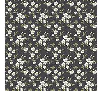 Galerie G78480 Secret Garden Anemone Mini Wallpaper, Black/Cream, 10m x 53cm