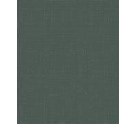 Galerie Heritage Scratched Texture Wallpaper Galerie Wallcoverings Green 10050mm x 530mm