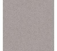 Galerie Home Collection Metallic Platinum Abstract Plain Wallpaper Roll