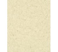 Galerie Perfecto 2 Crackle Texture Textured A4 Wallpaper Sample