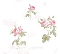 Galerie Rose Garden Pink Vintage Roses Smooth A4 Wallpaper Sample