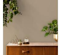 Galerie Style Sisters Warm Nude Matt Emulsion 100Ml Tester Pot