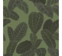 Galerie Ted Baker Eden Green Piner Large Leaf Wallpaper Roll