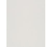 Galerie Wallcoverings Galerie Bricks & More Subtle Texture Wallpaper in Light Grey | Size: 10050mm x 530mm Galerie Wallcoverings Light Grey 10050mm x 530mm