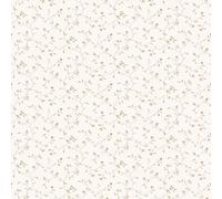 Galerie Wallcoverings Galerie Miniatures 2 Floral Trail Wallpaper in Off-White | Size: 10050mm x 530mm Galerie Wallcoverings Off-White 10050mm x 530mm