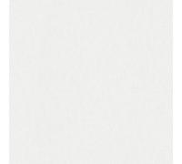 Galerie Wallcoverings Galerie Odyssey Scratch Texture Effect Wallpaper in White | Size: 10050mm x 530mm Galerie Wallcoverings White 10050mm x 530mm