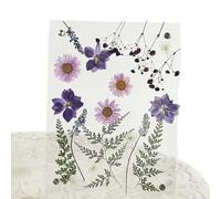 galeyyu Pressed Flower Frame,Handmade Clear Acrylic Wall Art | Floating Frame Of Pressed Flowers - for Home Office Living Room Bedroom Bathroom Dressing Table Wedding Party