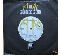 GALLAGHER & LYLE-7"Single- Every Little Teardrop/Street Boys,EX+