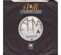 Gallagher & Lyle - Breakaway (7" VINYL 45) UK A&M 1976