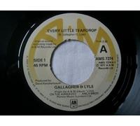 Gallagher & Lyle - Every Little Teardrop