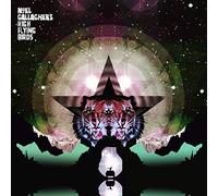 Gallagher's Noel High Flying Birds - Black Star Dancing [VINYL]