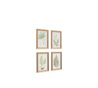 Gallery Direct Set of 4 Assorted Ferns Framed Art Green