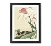 Gallinule With Lotus Flower By Ohara Koson Asian Japanese Framed Print | A2 Black Framed Wall Art | Ready to Hang | Asian Floral Picture | Living Room Bedroom Lounge Office