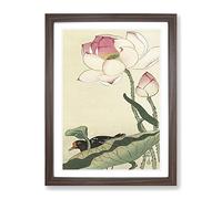 Gallinule With Lotus Flower By Ohara Koson Asian Japanese Framed Print | A2 Walnut Framed Wall Art | Ready to Hang | Asian Floral Picture | Living Room Bedroom Lounge Office