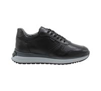 Gallipolis - male - Nerogiardini - Sneakers - Black - 6 UK - Shoes 6 UK