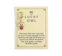 Gallkeat Good Luck Keychain Owl Keyring with Inspirational Card Congratulations Inspirational Gifts for New Beginnings, Exams, New Job, Family, Friends, Colleague, Students (red)
