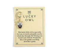 Gallkeat Good Luck Keychain Owl Keyring with Inspirational Card Congratulations Inspirational Gifts for New Beginnings, Exams, New Job, Family, Friends, Colleague, Students (black)