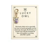 Gallkeat Good Luck Keychain Owl Keyring with Inspirational Card Congratulations Inspirational Gifts for New Beginnings, Exams, New Job, Family, Friends, Colleague, Students (Purple)