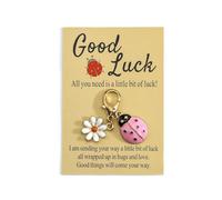 Gallkeat Lucky Animal Keychain Ladybug Daisy Keyring with 1 Good Luck Card Decorative Pendant for Women's Handbags Christmas Birthday Gift for Family Friends Women Men (pink)