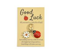 Gallkeat Lucky Animal Keychain Ladybug Daisy Keyring with 1 Good Luck Card Decorative Pendant for Women's Handbags Christmas Birthday Gift for Family Friends Women Men (red)